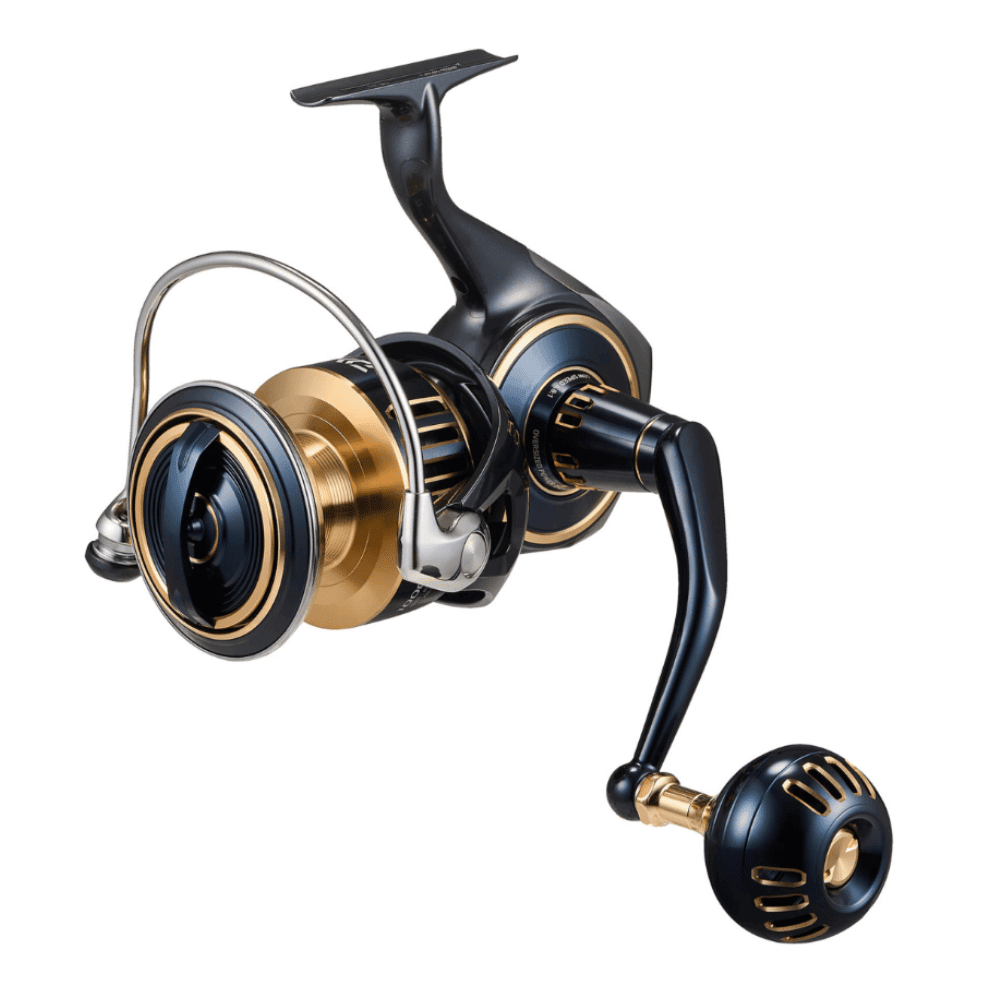 Daiwa 25 Saltiga 8000-P